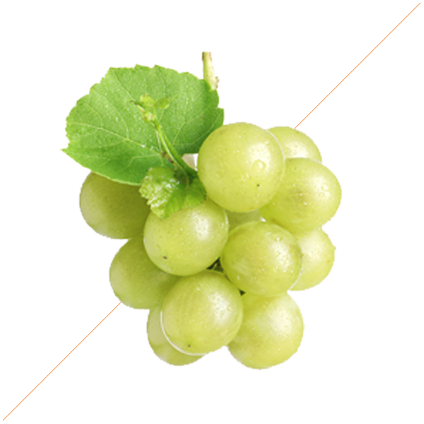 Marengo, uva Cortese